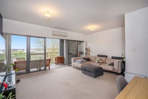 214/38 Gozzard St, Gungahlin ACT 2912 - Apartment For Rent | Domain - Photo 1