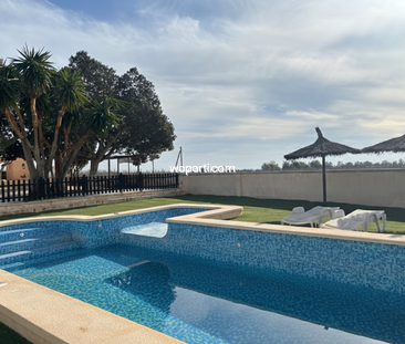 Country House in Albatera, for rent - Photo 2