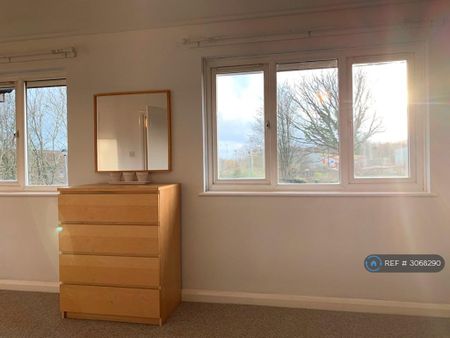 Studio to rent - Photo 3