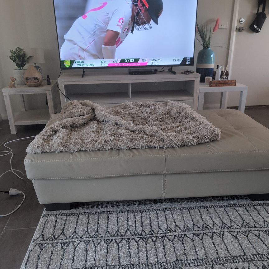 Hampton Park - Photo 2