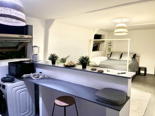 Location Appartement 2 pièces 31m² ROUBAIX 59100 - Photo 1