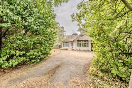2 bedroom detached bungalow to rent - Photo 5