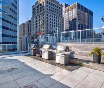 Appartement à louer - Montréal (Ville-Marie) (Centre) - Photo 2