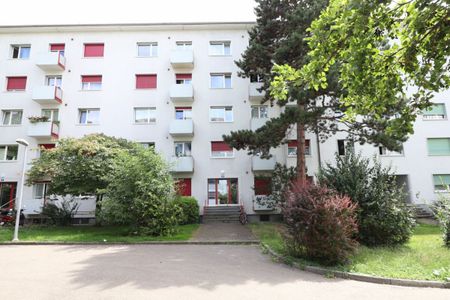 3 Zimmer, EG - Photo 5