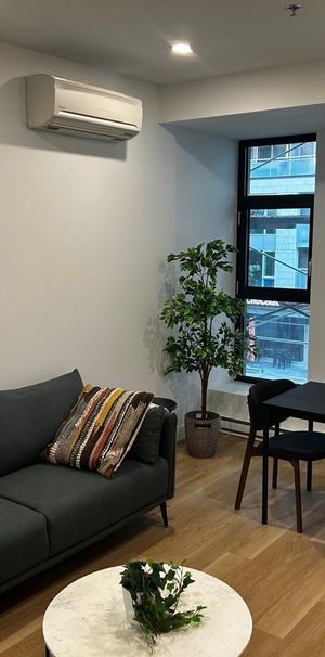 2 CH - 1 SDB - Montréal - $2,025 /mo - Photo 1