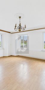 MODERN WITH HISTORICAL CHARM - Photo 3