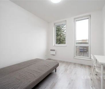 Pronájem ateliéru se sklepem ,17 m - Photo 4