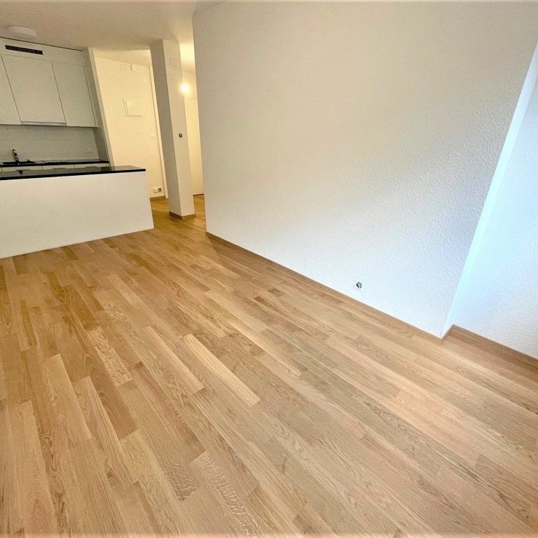 Rare au coeur des Eaux-Vives - côté cour - Foto 1