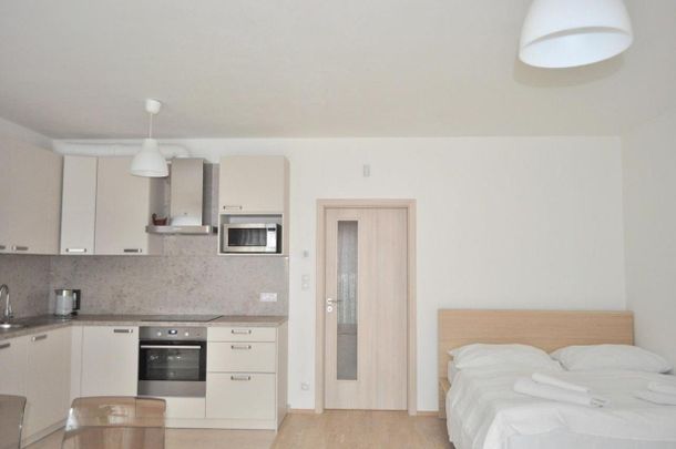 Pronájem bytu 1+kk a garsoniéry 40 m², Praha - Photo 1