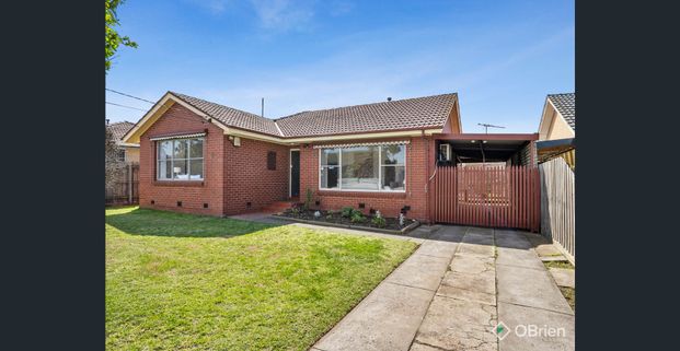 A LIGHT FILLED LITTLE GEM! - Photo 1