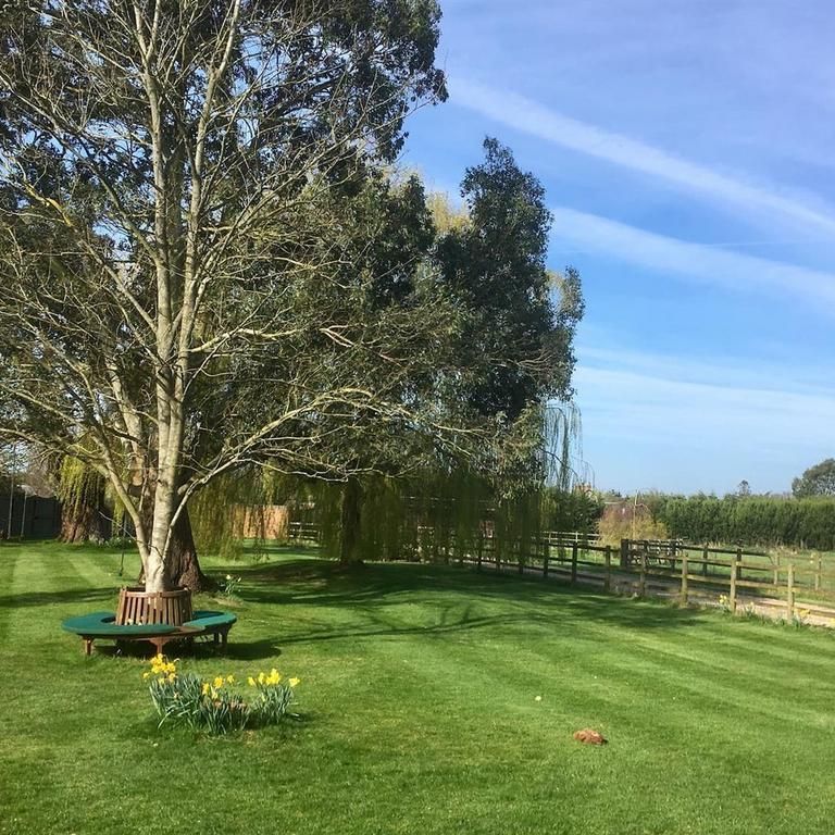 1 bedroom bungalow to rent - Photo 1