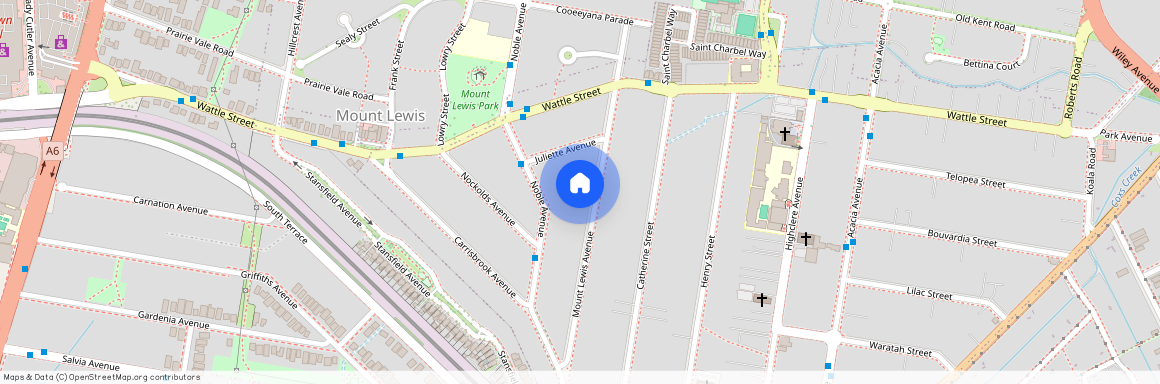 46 Mount Lewis Avenue, NSW 2196, Punchbowl