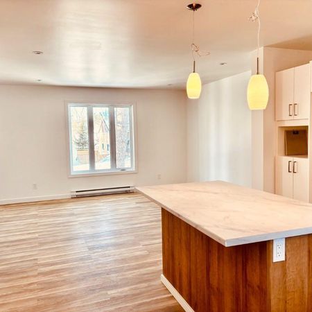 🏡 À louer – Rez de chaussée de duplex à Saint-Donat 🌲 - Photo 3