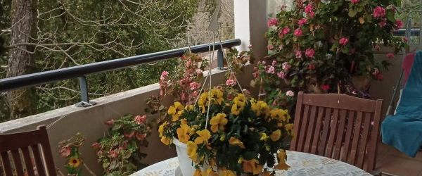 Location / Maison - Photo 1