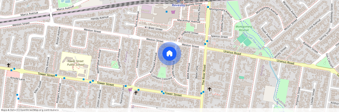 8 Lesley Avenue, NSW 2212, Revesby