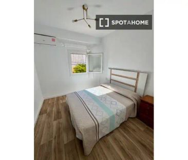 Oliva - Foto 1