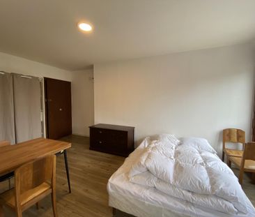 Location Appartement 1 pièce Meublé 25m² ANGERS 49100 - Photo 4