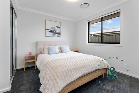 20 Morante Street, Karuah NSW 2324 - House For Rent | Domain - Photo 3