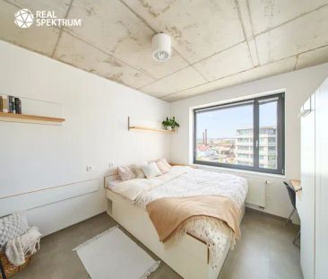 Pronájem moderního bytu 1+kk (Double B) u Vaňkovky – BEZ PROVIZE! - Photo 6