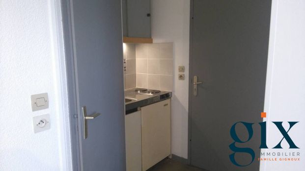 Location Appartement 1 pièce 18m² GRENOBLE 38100 - Photo 1