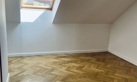 Warszawa, Wilanów, Powsin, Zapłocie - Photo 5