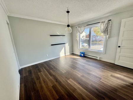 1683 Rue Joanette - Photo 3