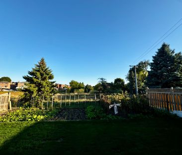 For Lease - 71 Brougham Drive Unit# Bsmt, Vaughan, Ontario - Photo 5