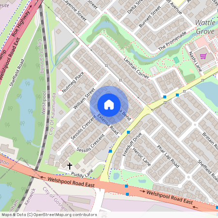 13 Saligna Bend, WA 6107, Wattle Grove