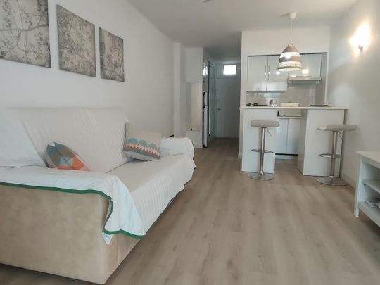 Estudio de alquiler en Carrer Miguel de Cervantes, Portals Nous - Photo 1