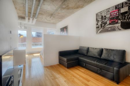 1200 Rue St Alexandre, Montréal (Ville-Marie), QC H3B - Photo 3