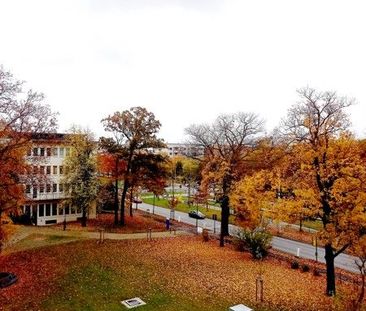 Studentenappartement am Großen Garten! - Foto 6