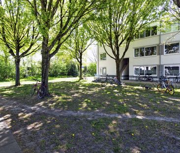 Molenslag, 67 - Foto 2