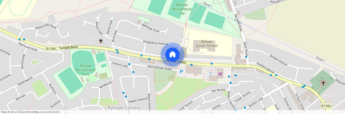 Western Hill, Sunderland SR2