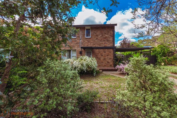 14 Dooring Street, Braddon ACT 2612 - House For Rent | Domain - Photo 1