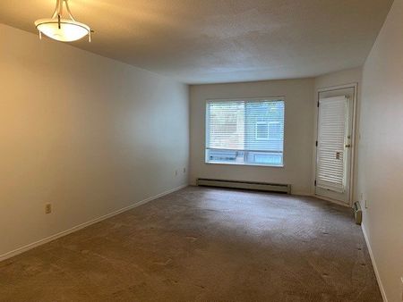 MAYFAIR VILLAGE WEST 1BD/1BA - Photo 3