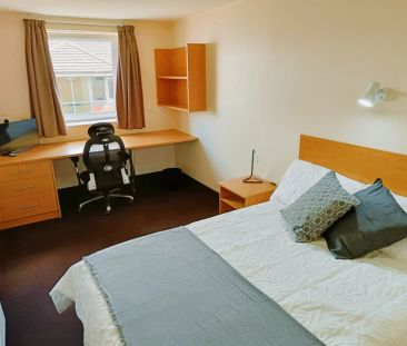 One Bedroom Apartment - Photo 2