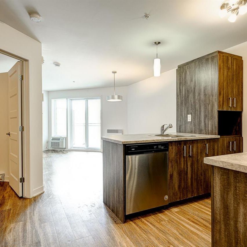 1 Bedroom + Den - 173 Boulevard Armand-Frappier, Sainte-Julie - Photo 2