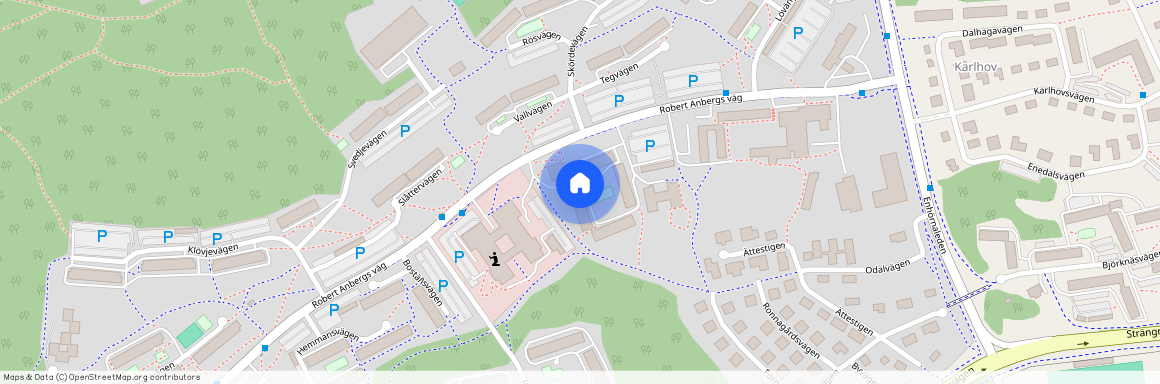 Robert Anbergs Väg 21, Ronna