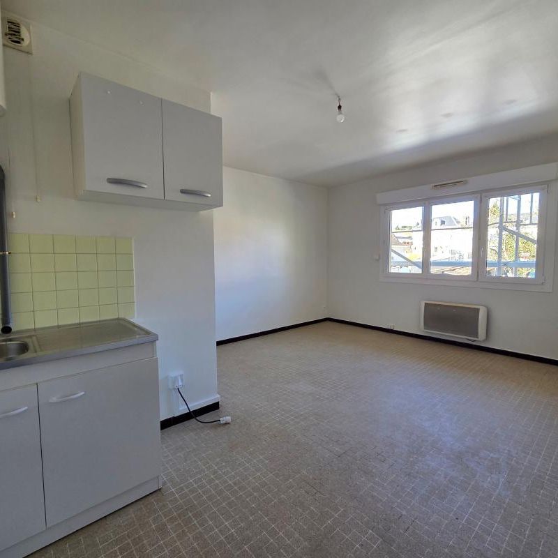 Location Appartement 1 pièce 21m² LA VILLE DU BOIS 91620 - Photo 1