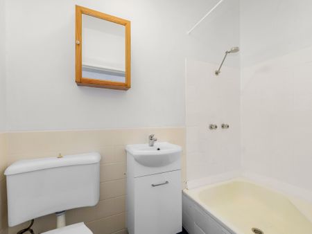 1/21 Moore Park Road, Centennial Park NSW 2021 - Apartment For Rent | Domain - Photo 3