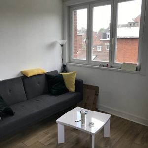 Appartement à louer F2 à Lille - Photo 2