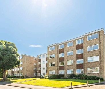 Mulgrave Road, Sutton, SM2 - Photo 4