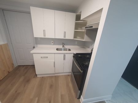 For Lease - 1830 Gough Avenue Unit# Bsmt, London North, Ontario - Photo 2