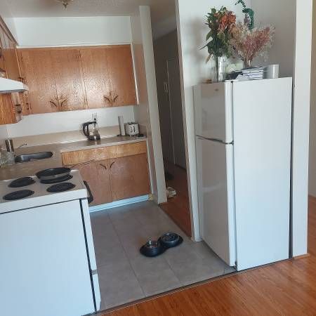 one bedroom downtown pet friendly - Photo 3