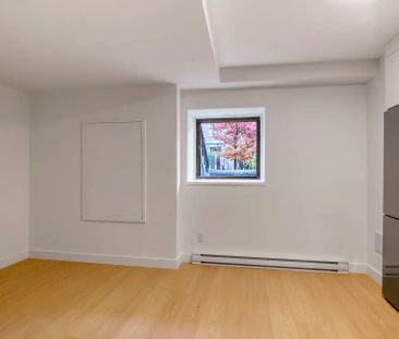 539 Prince-Arthur west — 1 Bedroom - unit 3 - Photo 6