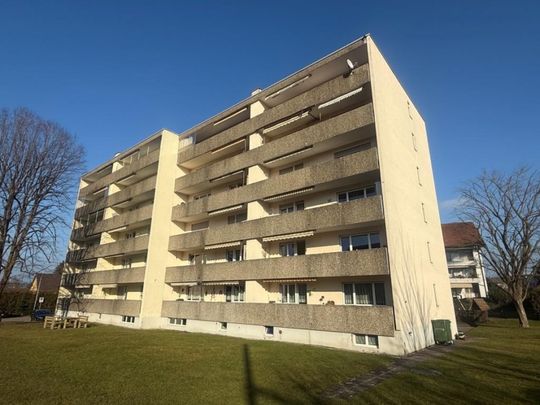 gemütliche Wohnung im Zentrum von Amriswil - Photo 1