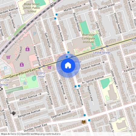 224 Jones Avenue, Toronto