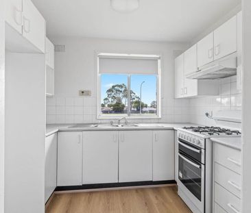 Freshly Updated 3-Bedroom Home - Photo 4