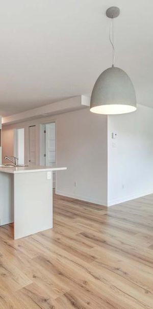 4 1/2 - 1e décembre - 1455$ - Photo 1