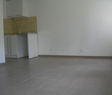 Location Appartement 1 pièce 23m² BRIOUDE 43100 - Photo 4